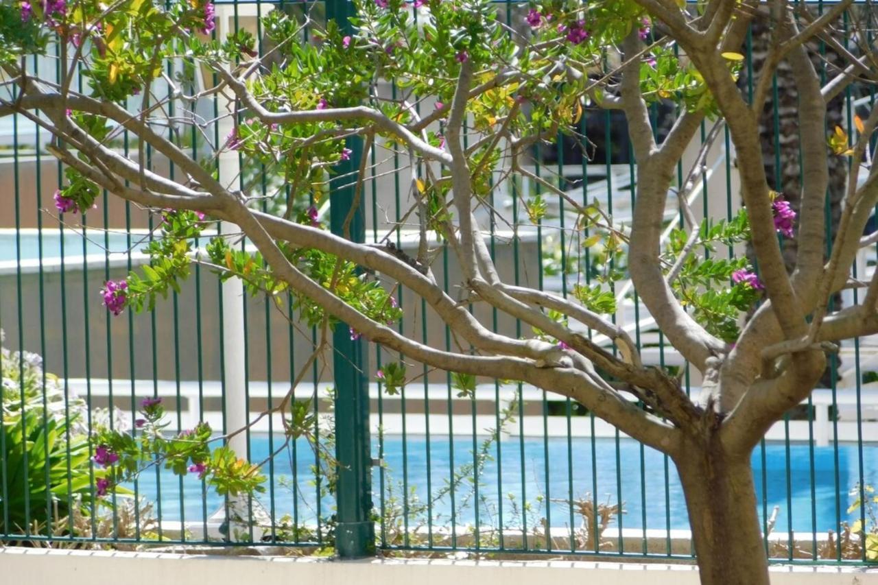 Appartement "T2 "Antibes Les Pins 3" Air Conditionned Sea View With Parking And Pool" Extérieur photo